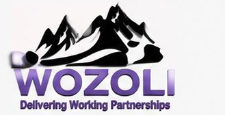 Wozoli Contractors logo
